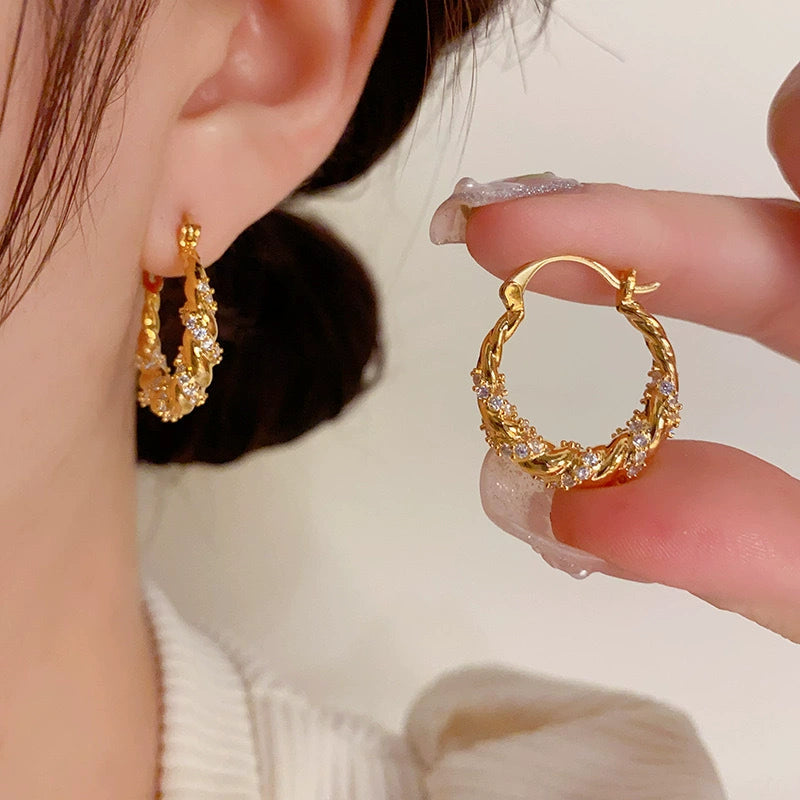 Zircon exquisite ear buckle silver